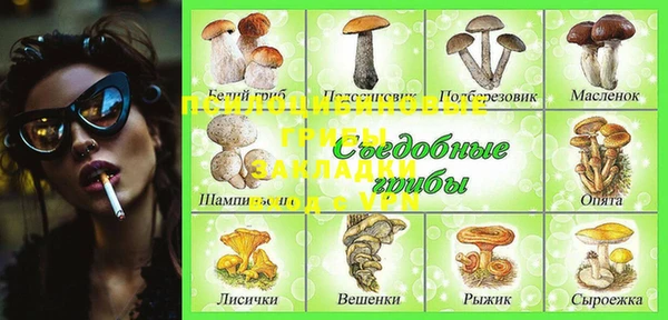 гидра Белокуриха