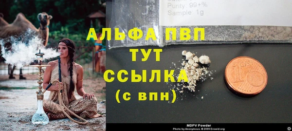 прущие крисы Богданович