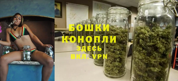 прущие крисы Богданович