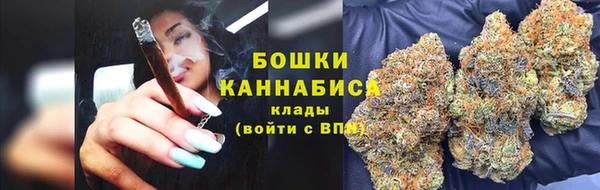 ГАЛЛЮЦИНОГЕННЫЕ ГРИБЫ Беломорск