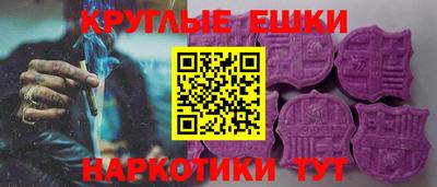 спиды Гай