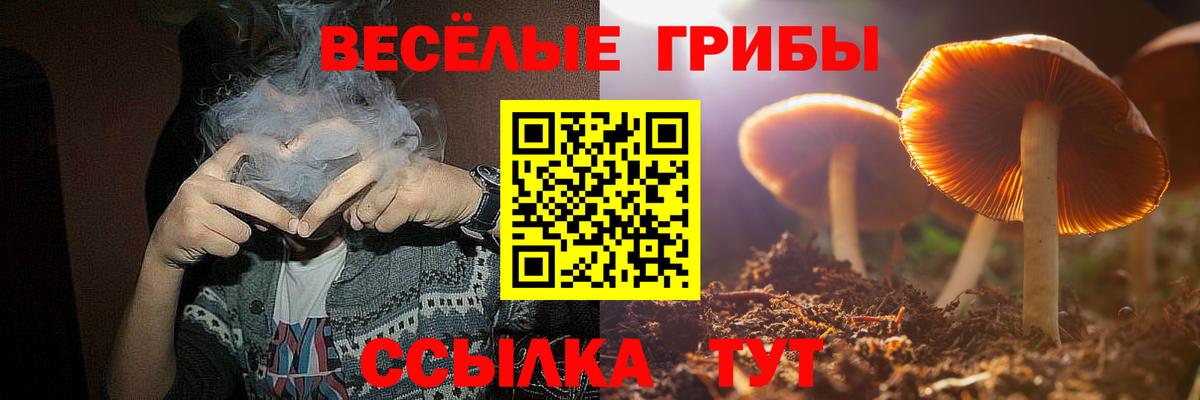 Волжск  где продают   Вход с VPN  Галлюциногенные грибы ЛСД  Галлюциногенные грибы Magic Shrooms 